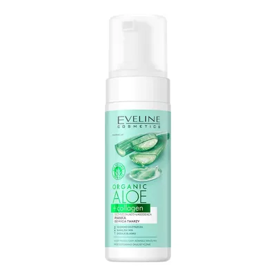 aloe vera topfpflanze Aloe Vera Pflanze online kaufen – MyZimmerpflanze.de main image 1