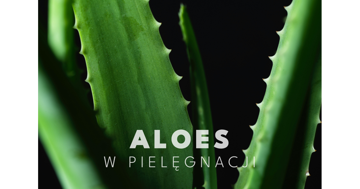 Aloes na twarz: jak stosowa el aloesowy na twarz? Blog Cocolita