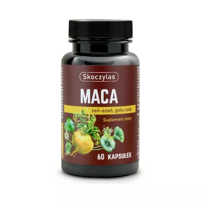 Skoczylas Maca Żeń-Szeń Gotu Cola Suplement Diety 60 Kapsułek