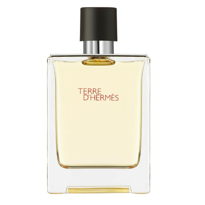Hermes Terre D'Hermes Woda Toaletowa dla Mężczyzn 100ml