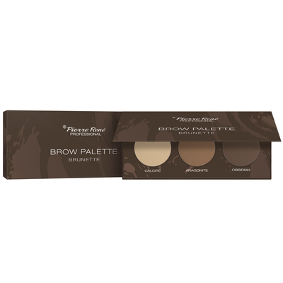 Pierre Rene Paleta Cieni do Brwi 03 Brunette
