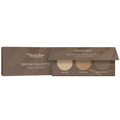 Pierre Rene Paleta Cieni do Brwi 02 Dark Brown
