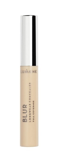Blur Longwear Concealer Dark