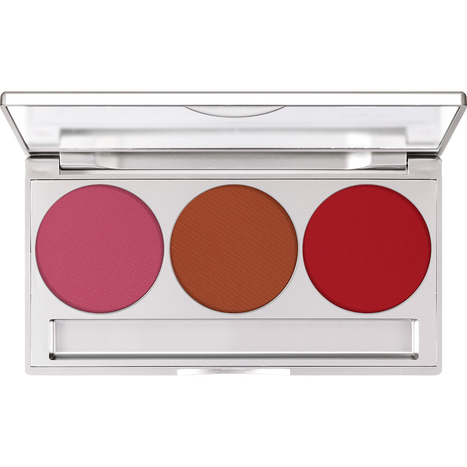 Trio Blusher Magnetic Paleta Róży do Policzków Matt